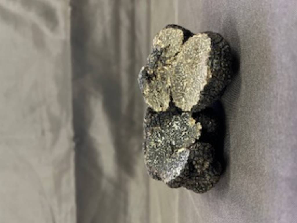 Truffes fraîches noires morceaux( Tuber Melanosporum ) sachet sous vide 500gr
