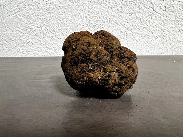 Truffes fraîches noires entières en Terre( Tuber Melanosporum ) sachet sous vide en 100gr copie copie